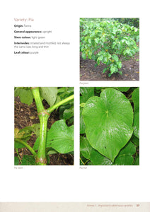 Dried Kava Powder | Roots & Rhizome | Medium Grind