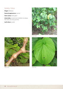 <transcy>乾燥したkavaパウダー| ルーツ＆根茎| ミディアムグラインド</transcy>